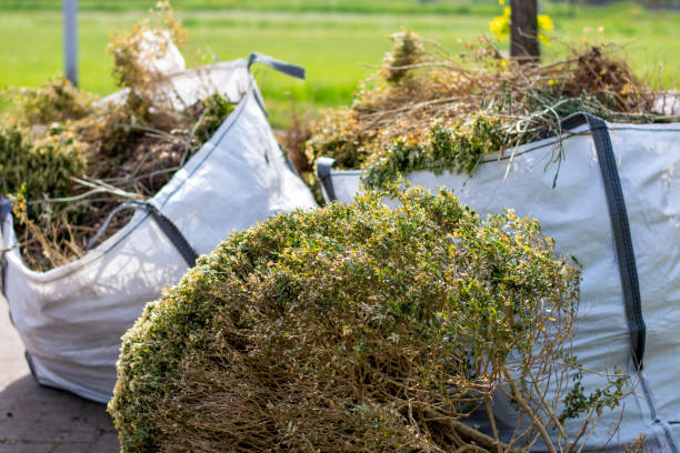 Best Electronics Removal Services  in Hayden, AL